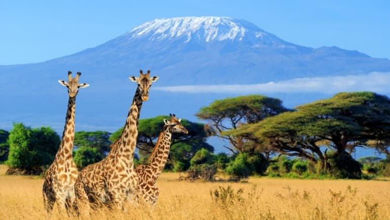 Monte Kilimanjaro en Tanzania