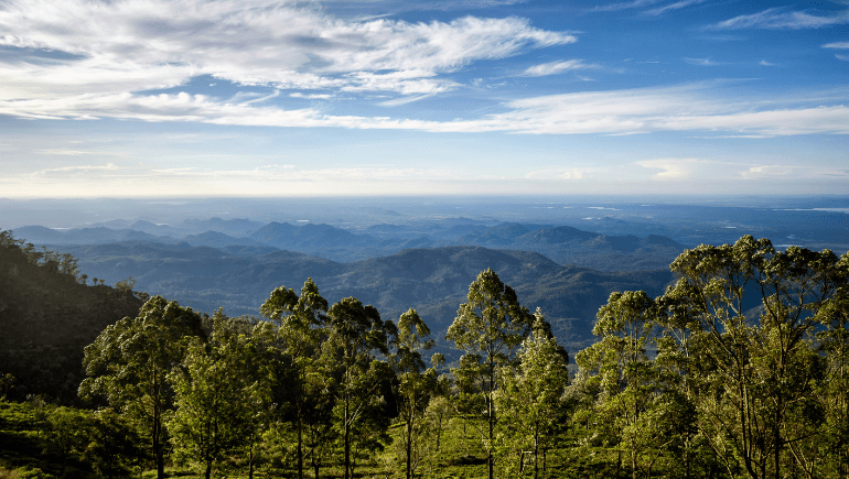 Vistas desde Lipton Sea