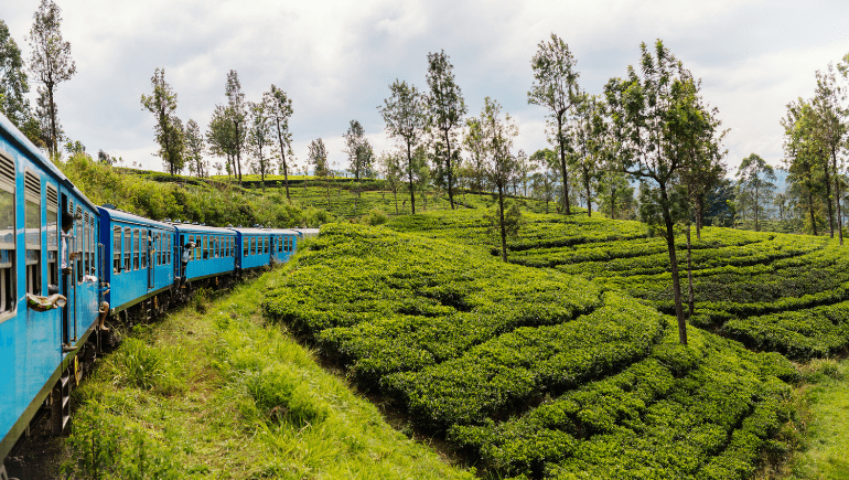 Tren desde Haputale a Ella o Kandy