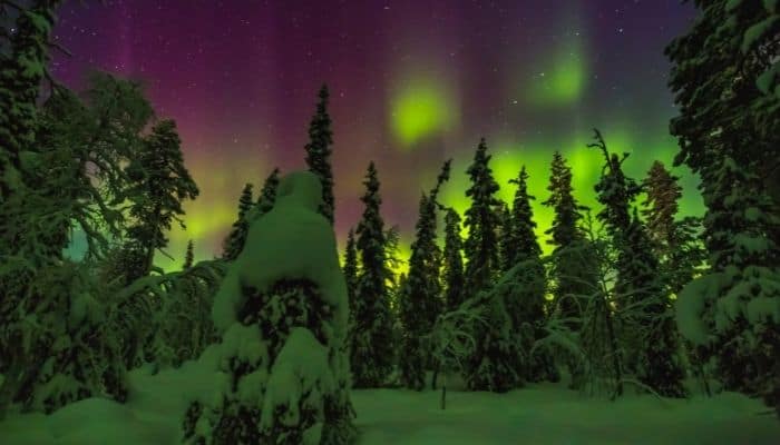 Tour de la aurora boreal en raquetas de nieve