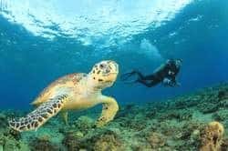 Tour por Egipto con 9 Visitas + Playas del Mar Rojo - 15 días