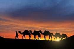 Oferta Viaje a Jordania con Noche en el Desierto