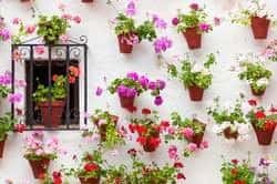 Pueblos Blancos y Rincones de Cádiz