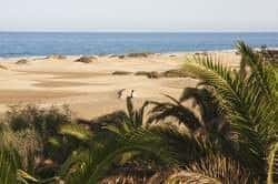 Estancia en Gran Canaria
