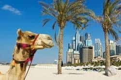 Viaje organizado a Dubai con Visita