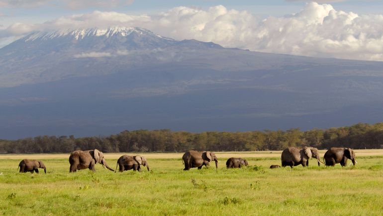 Safari en Kenia con el Kilimanjaro de fondo