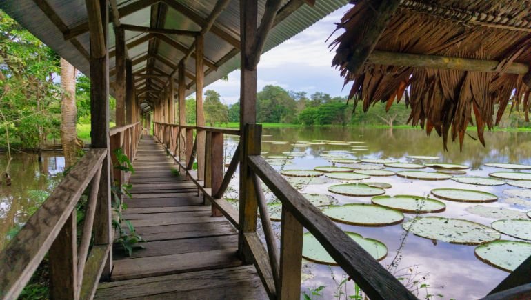 Amazonía colombiana
