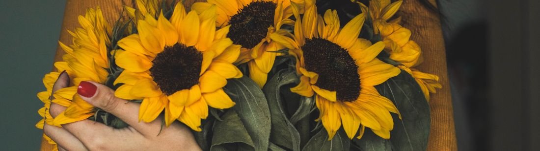 Girasoles ciudad de México