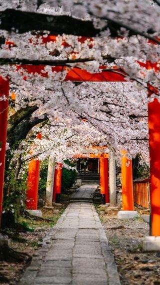 ¡Kon'nichiwa, viajerxs! 🇯🇵 Japón es como un viaje a otro planeta lleno de sorpresas. Desde el caos eléctrico de Tokio hasta la serenidad de los templos antiguos, este país te dejará boquiabiertx. ¿Motivos para visitar? ¡Sushi delicioso, sumo emocionante, karaoke descontrolado y un sinfín de experiencias que nunca olvidarás 🤣!  #Japon #Historia #Bloudit #viajar #viajes #viajeros #destinos #vacaciones #turismo #exploraelmundo #travel #beautifuldestinations #instatravel #travel #bucketlist #cultura
